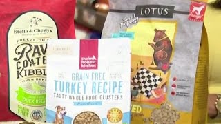 Choosing the right dog food