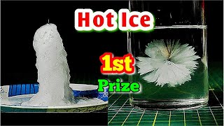 1st Prize Project, How to make HOT ICE | Sodium acetate, Instant crystal Formation l exhibition