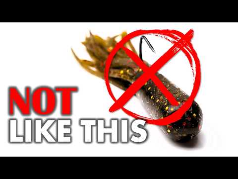 HellaBass and Horseshoe Tackle