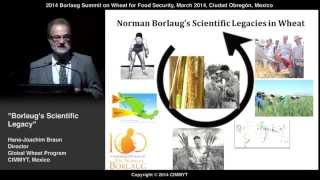 Borlaug's Scientific Legacy by Hans-Joachim Braun (Mexico)