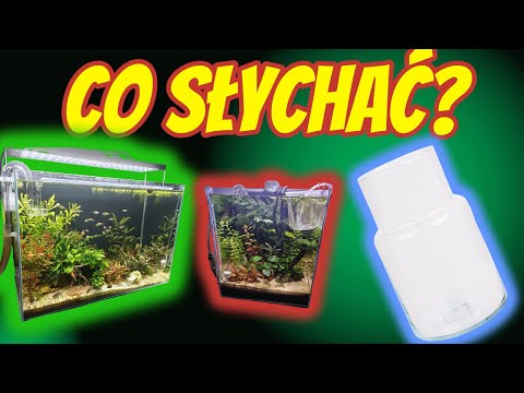 Update - What's new in the 72L, 30L and Wazonarium aquariums