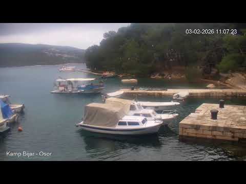 Camp Bijar - Live Cam