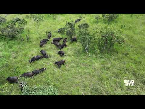 Why the Environment Matters PART 3 ( PLEASE READ DESCRIPTION )