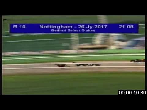 Dorotas Wildcat - Betfred Select Stakes 2017