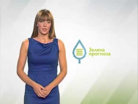 Zelena prognoza 03.8.2015. - O stanju u usevima paprike na otvorenom polju