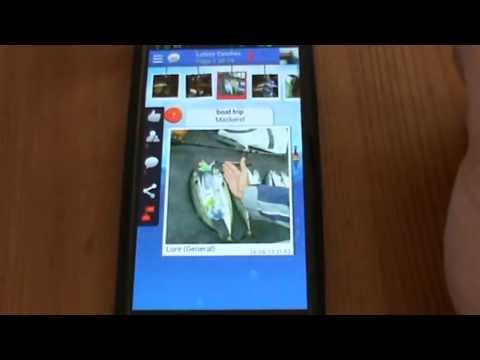 YouTube video