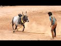 திருச்சி கோசகுறிச்சி அழகர்சாமி காளை 