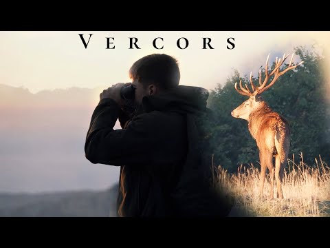 BRAME DU CERF | 2024 | Vercors