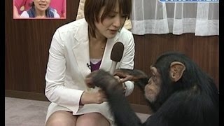 【ぐうかわ】女子アナ小熊美香の可愛い画像まとめ！テレビ放送中に映った美脚が・・・