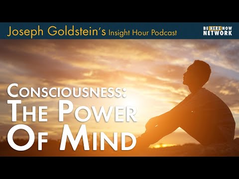 Consciousness: The Power of Mind with Joseph Goldstein – Insight Hour Podcast Ep. 172