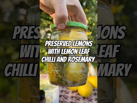 Preserved Lemons with Chilli, Rosemary and Lemon leaves 🍃 🍋