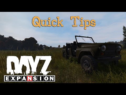 Some Quick Dayz Expansion Tips!
