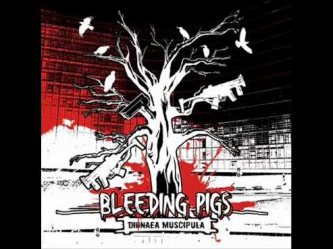Bleeding Pigs - Il n'y a plus rien