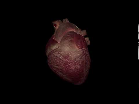 Heart Beating Animation