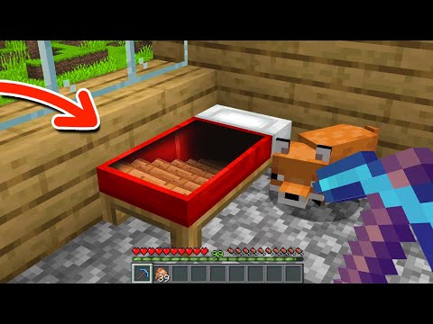 Hvis Jeg Finder Den HEMMELIGE BASE Får Jeg...