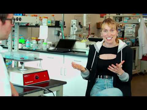 How CarboNet Built Fake Plants to Fight the New Karen