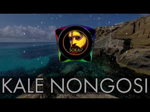 KALE NONGOSI - Linzii Bee (Prod.By B-Rad)