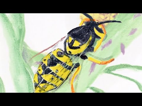 Nuisibles (Pests) | Short Film by Juliette Laboria | Trailer