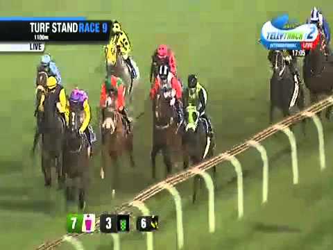 2014.03.28 Man O' War Sprint (RSA) - Carry on Alice
