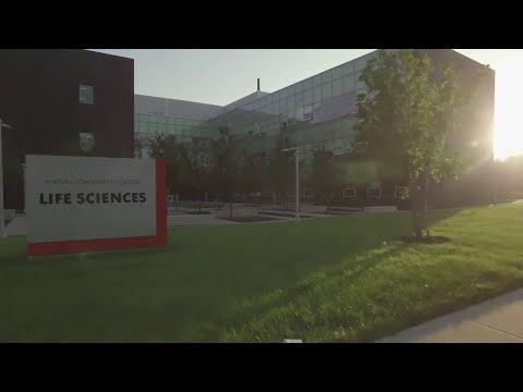 Long Island Nassau County & the Coronavirus