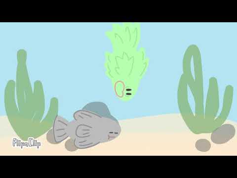 Be The Pond: A Mindfulness Practice