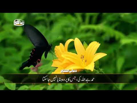 Dua e Iftitah by Ali Fani HD - with Urdu Translation - دعائے افتتاح، علی فانی