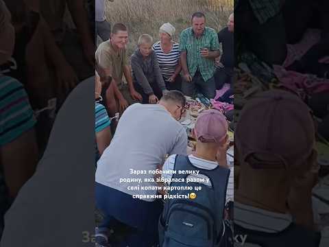 Зараз побачити велику родину, яка зібралася разом у селі копати картоплю це рідкість!🥺#картопля