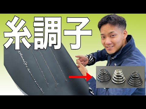 Charadrius melodus オス