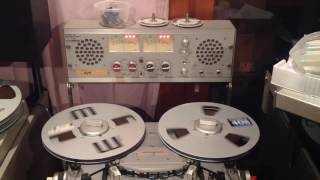 Eddie Higgins Trio.  Bewithced, Bothered, And Bewildered.