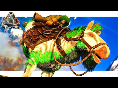 I Lost my Mind Taming this Unique Horse - Monarky S4 EP3