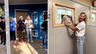 Animali, nasce la prima casa di riposo per cani: «Vivono serenamente con i loro ritmi e abitudini»