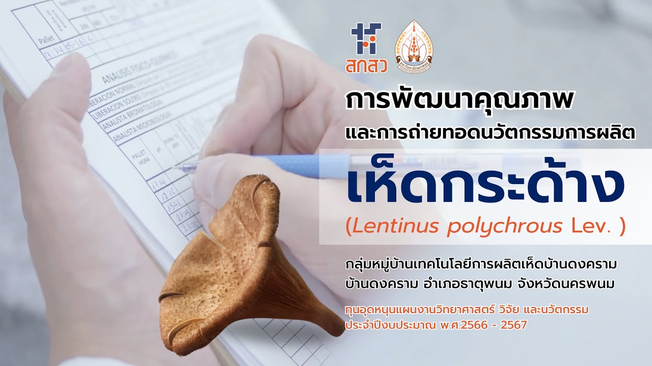 Home Page การพัฒนาคุณภาพเห็ดกระด้าง