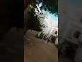 Diving into one of the alleys in Tangier, Morocco 🇲🇦😍