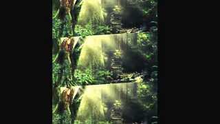 Dryad -Tu me Manques (Missing you)