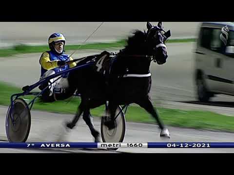 Aversa trotto 4 Dicembre 2021 - 7° Corsa