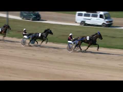 2018.04.28. 4 futam Ügető