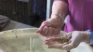 How to tell if your soil is a sand, loam or clay