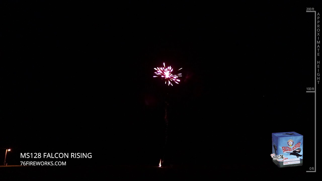 MS128 Falcon Rising – 16 shot