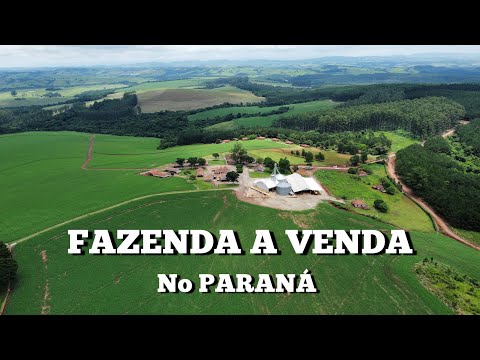 FAZENDA A VENDA NO PARANÁ 924 ALQUEIRES - EXTREMA PRODUÇÃO