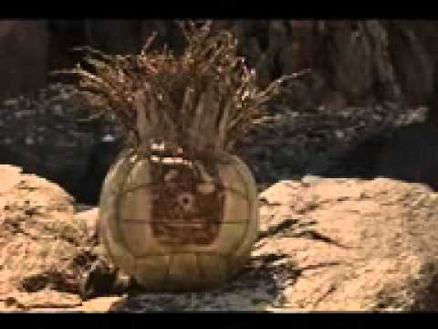 Bubba e Gump Verze 2