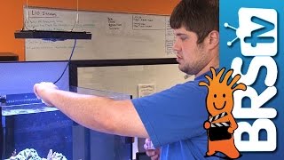 Simple, Straight-Forward Aquarium Additives | Product Spotlight