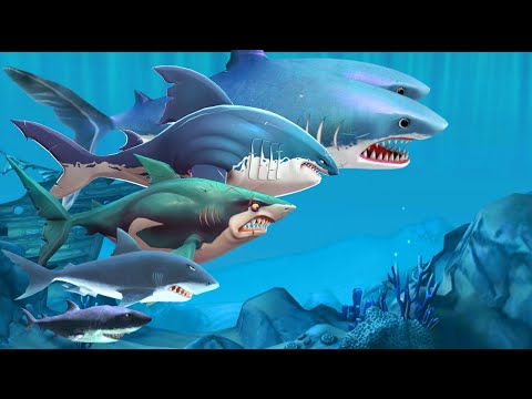 THE EVOLUTION OF GREAT WHITE SHARK - ALL Hungry Shark Series