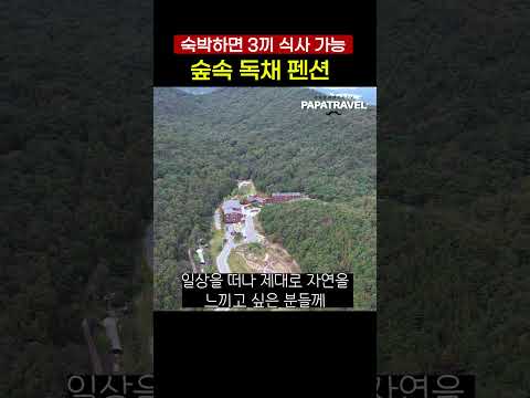 자연과 힐링의 휴식처: 국립대전숲속 독채펜션에서의 특별한 경험