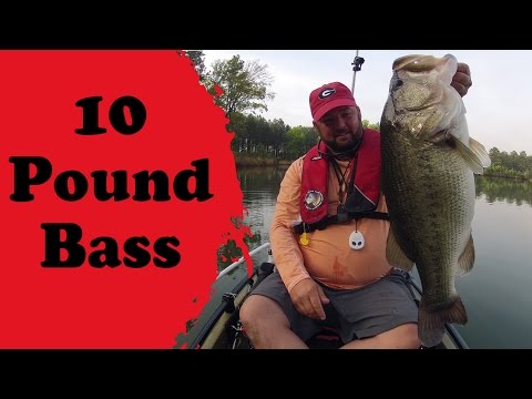 10 Pound Bass Caught from a Kayak