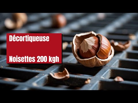 : "Machine Industrielle Décortiqueuse Noisettes 3-en-1 | 200 kg/h !"