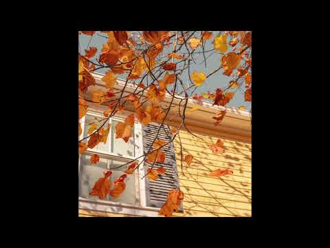 [FREE] guardin, skele, midwest emo type beat | "noluv"