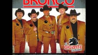 Bronco-basta
