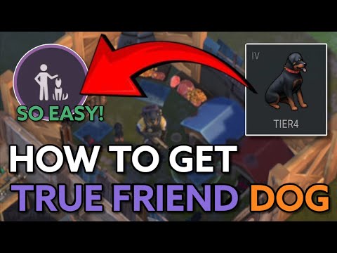 How To Get The True Friend Dog Without Needing To Breed Low Tier Dogs | Last Day On Earth : Survival