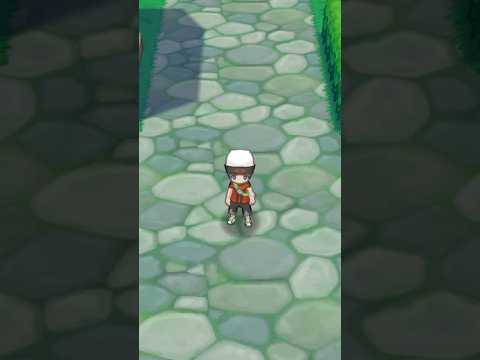 Secret Area in Pokémon Omega Ruby