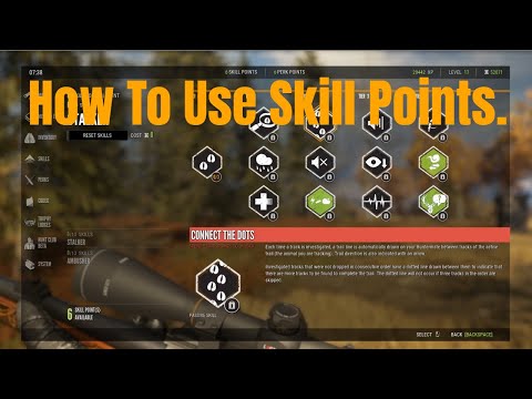 🦌 How to use SKILL POINTS. Which are the Best? | The Hunter Call of the Wild